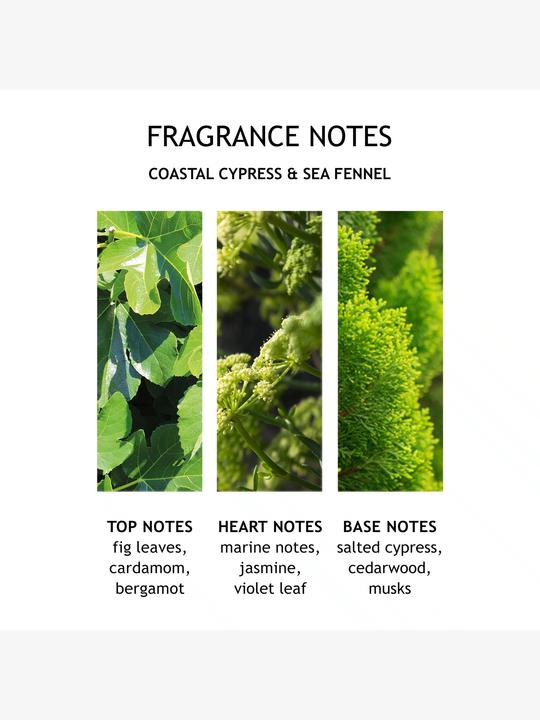 Actual product image Molton Brown Coastal Cypress & Sea Fennel (300 ml)
