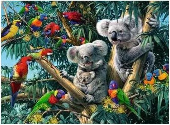 Produktbild Ravensburger Koalas im Baum (500 Teile)