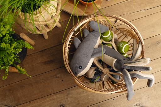 Image du produit Beeztees Jouets pour chiens Minus One