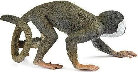 Image du produit Safari Singe à tête de mort