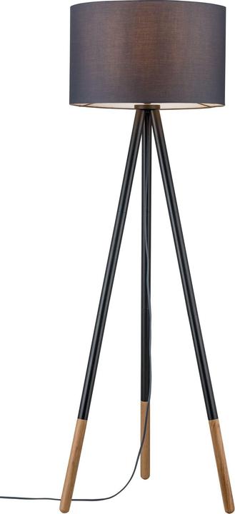 Actual product image Paulmann Neordic Rurik (E27)