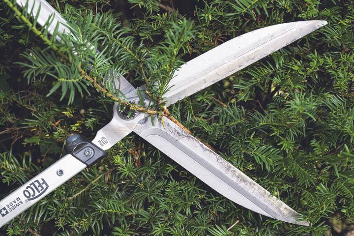 Produktbild Felco 250-63 (Handheckenschere)