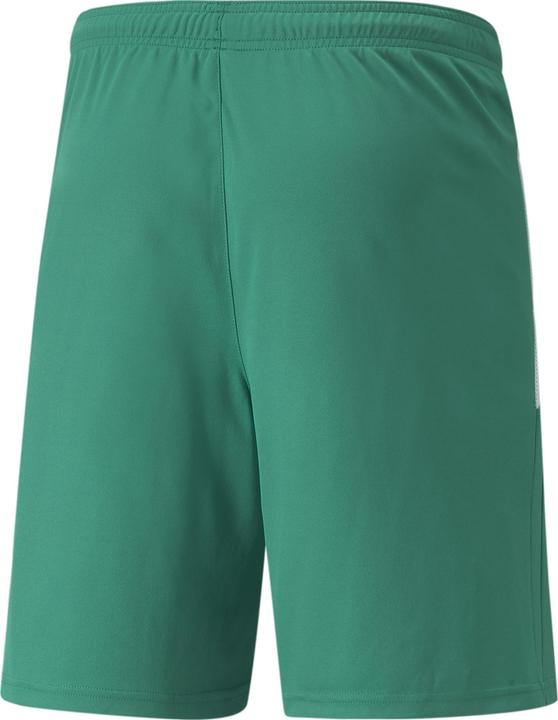 Actual product image Puma teamLIGA Shorts-704924 (60, 3XL)
