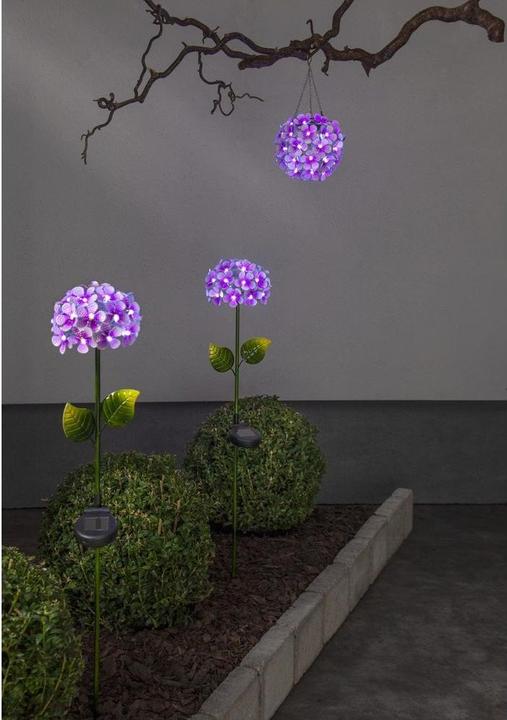 Produktbild Star Trading Hortensia (IP44)