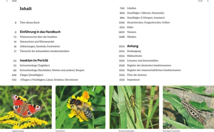 Immagine prodotto Das grosse Handbuch Insekten (Tedesco, Ewald Gerhardt, 2021)