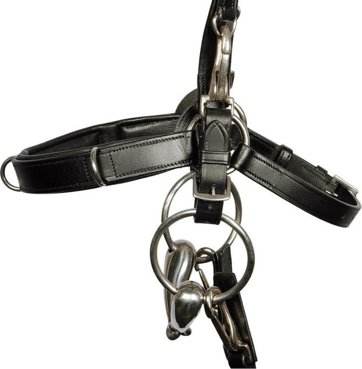 Image du produit Harry's Horse Caveçons cuir pour cheval