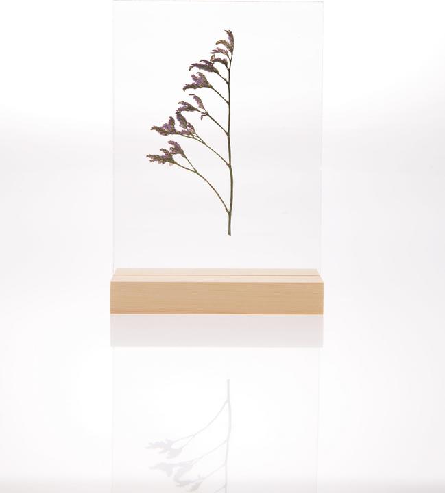 Actual product image Rico Design Wooden stand with double acrylic disc, 13 x 18 cm (13 x 18 cm)