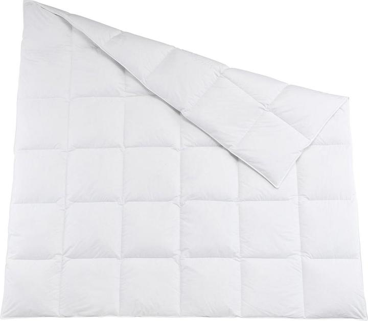 Traumschlaf Polar