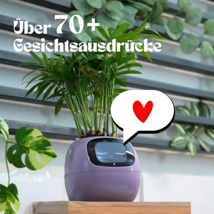 Produktbild Hermex Ivy Smart Planter (11 cm)
