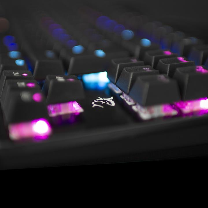 Actual product image White Shark Mechanical Gaming Keyboard Spartan, OUTEMU BLUE Switch, LED Rainbow Light, US Layout (DE, Cable)