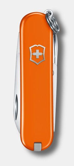 Actual product image Victorinox Cellidor