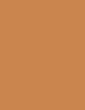 Actual product image Erborian BB Crème Makeup Care Face Cream (Caramel)