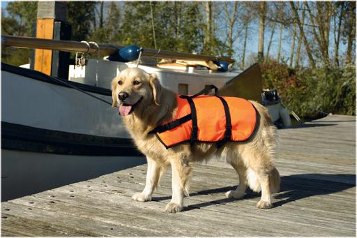 Image du produit Beeztees Gilet de sécurité (L, Gilet de sauvetage pour chien)