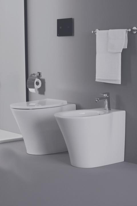Actual product image Ideal Standard WC seat E036601