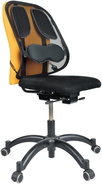 Produktbild Fellowes Professional Rückenstütze