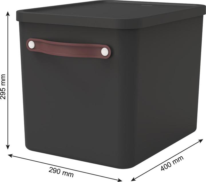 Immagine prodotto Rotho Archivio box my Paper (A4)