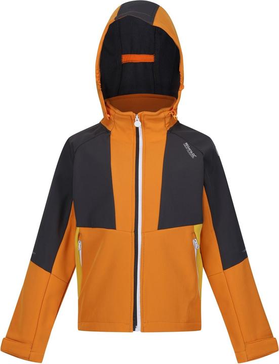 Produktbild Regatta Haydenbury Softshelljacke (128)