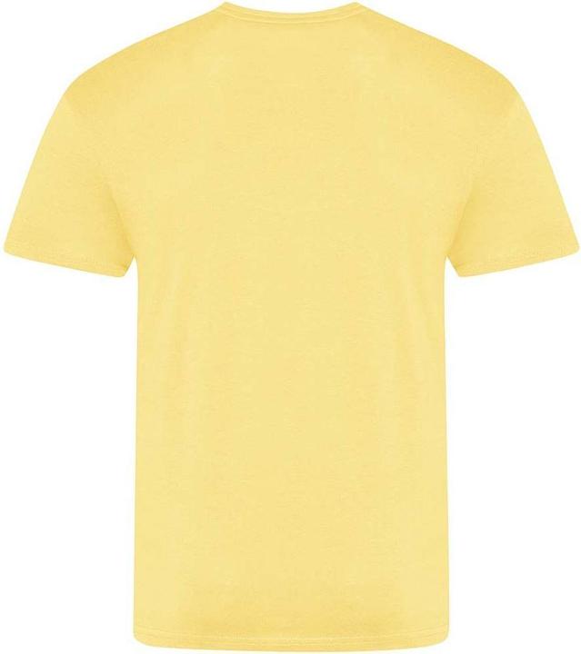 Image du produit Awdis The 100 TShirt (S)