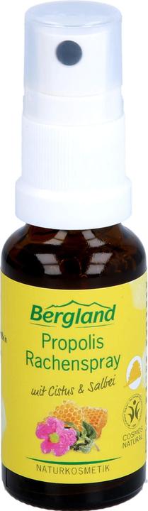Bergland Propolis Rachenspray, 20 ml Lösung (20 ml)