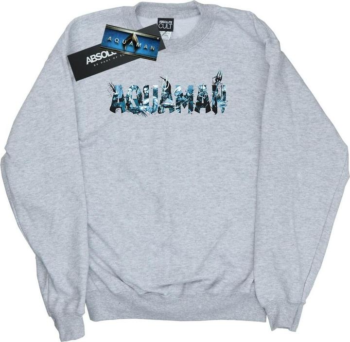 Produktbild Aquaman Text Logo Sweatshirt (XL)