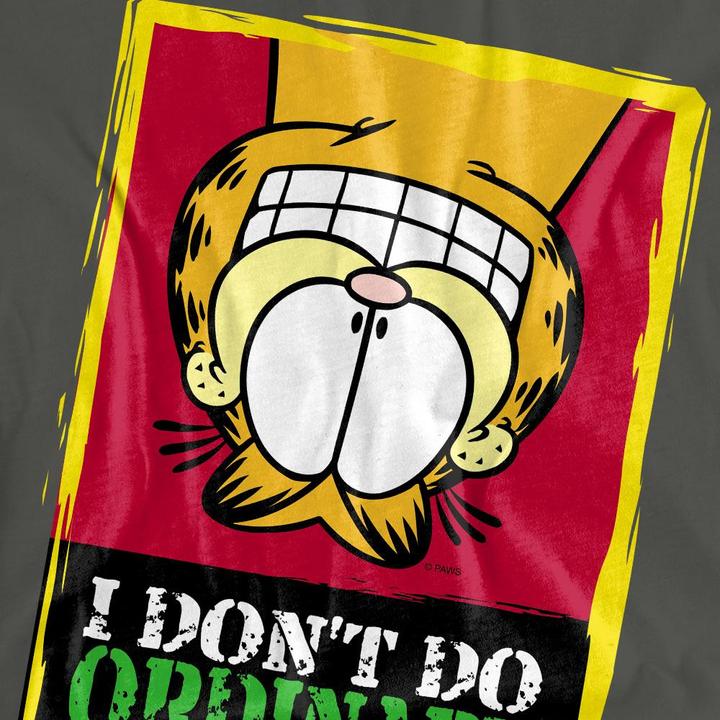 Actual product image Garfield Unisex Adult I Don't Do Ordinary T-Shirt (S)