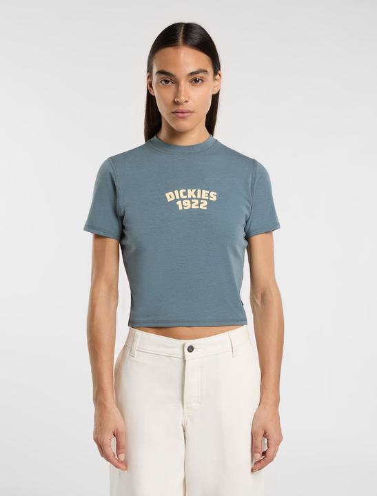 Image du produit Dickies Center Logo Ss Tee W Stormy Weather (M)
