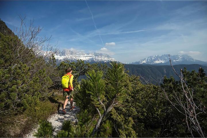 Produktbild Salewa Carbonium Alp Speed Poles (46 - 130 cm)