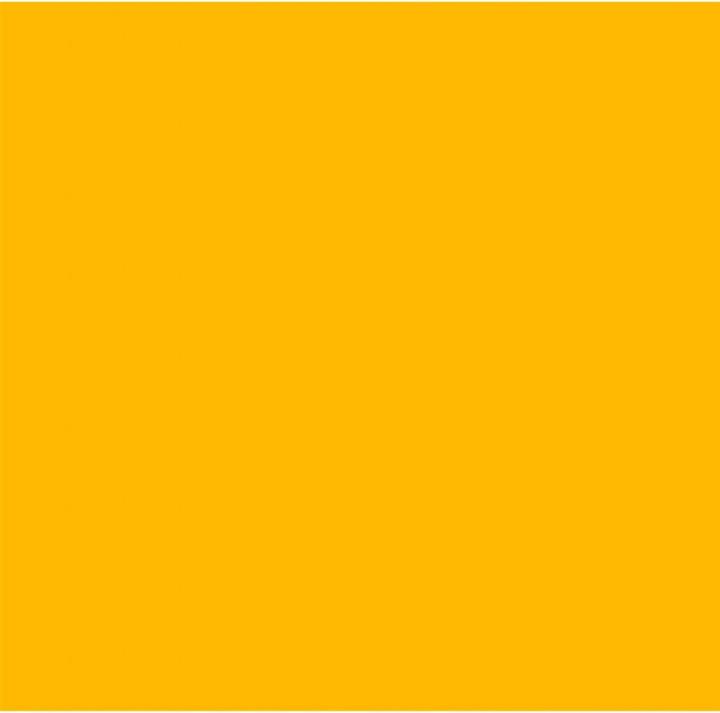 Immagine prodotto Cricut Film in vinile Smart Permanent 33 x 366 cm, 1 pezzo, Giallo