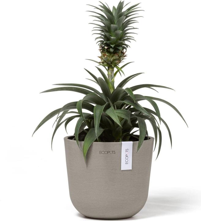 Produktbild Ecopots Oslo Mini (16 cm)