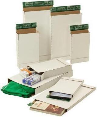 Actual product image Progress Packaging Versandkarton progress pack Briefbox PREMIUM (1 x)