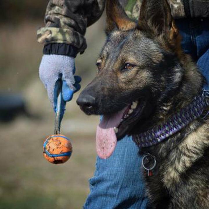 Actual product image Chuckit! ChuckIt Ultra Tug piłka dla psa średnia (Dog chew toy)