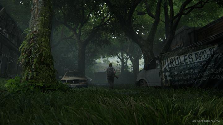 Produktbild Sony The Last of Us Part II Standard Edition (EN/RU) PS4 (PS4, DE)