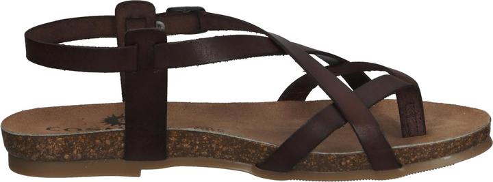 Image du produit Cosmos Comfort Tige d'orteil (39)