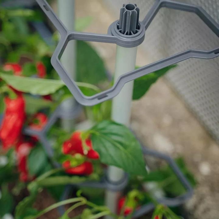 Produktbild Gusta Garden Charly Chili (35.35 cm)