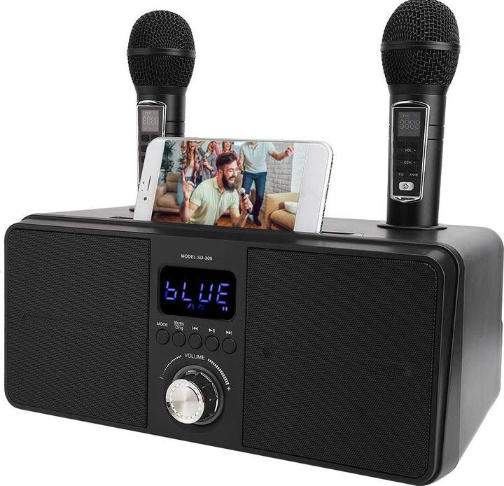 Bewinner1 Karaoke Lautsprecher, Schwarz