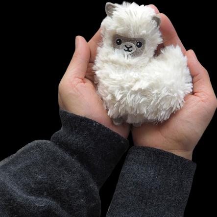 Image du produit Bitten Pocket Pal Fluffy Llama