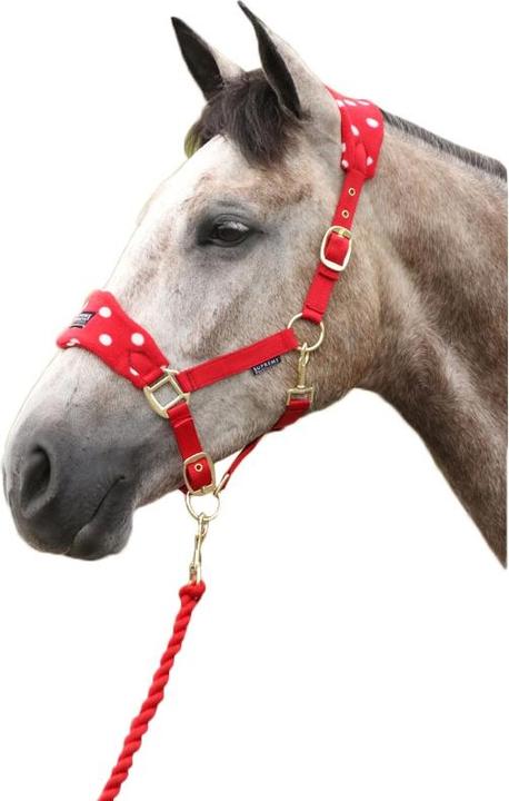 Supreme Products Horse Halter And Lead Set Dots Fleece