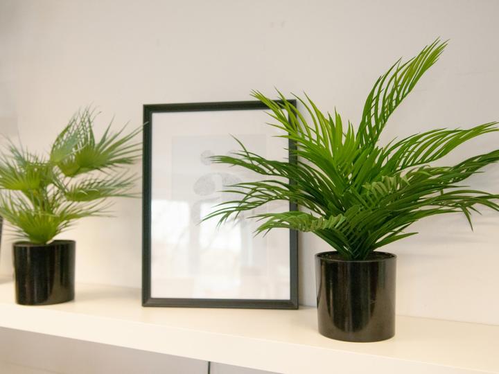 Actual product image Europalms Gold Fruit Palm, Artificial Plant, 46 cm (46 cm)