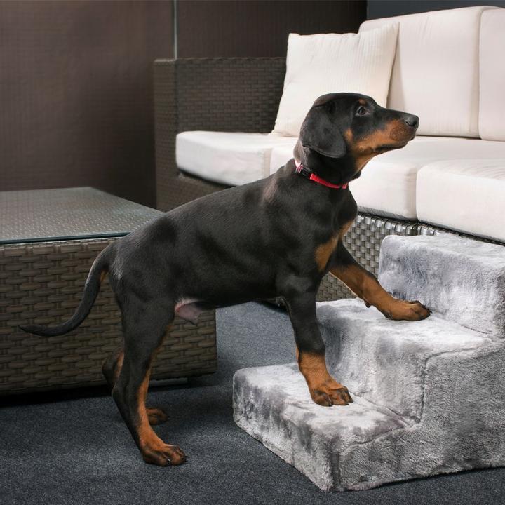 Immagine prodotto Karlie Scale per cani Easy Step (Cane, Lavabile)