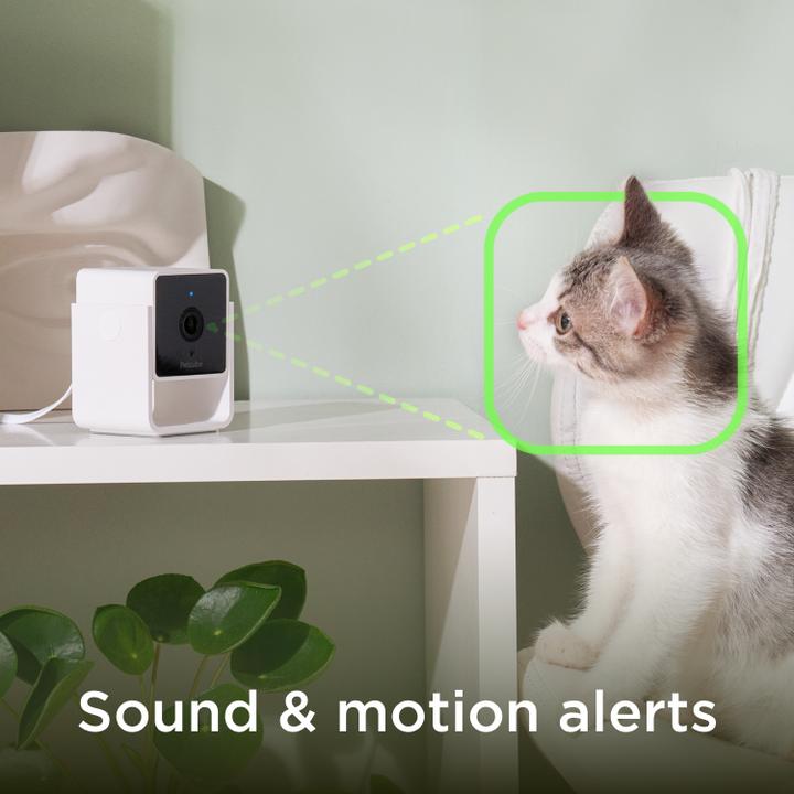 Produktbild Petcube Haustierkamera (Katzenminzespielzeug)