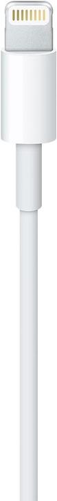 Actual product image Apple USB A – Lightning (1 m, USB 2.0)