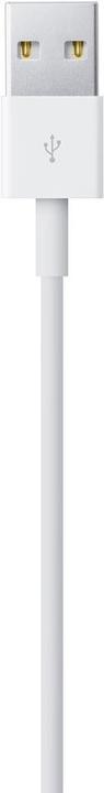 Actual product image Apple USB A – Lightning (1 m, USB 2.0)