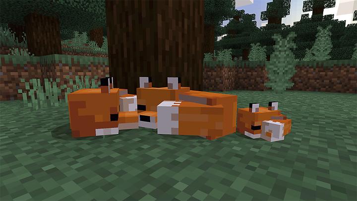 Actual product image Sony Minecraft: Starter Collection Standard Multilingual PlayStation 4 (PS4, Multilingual)