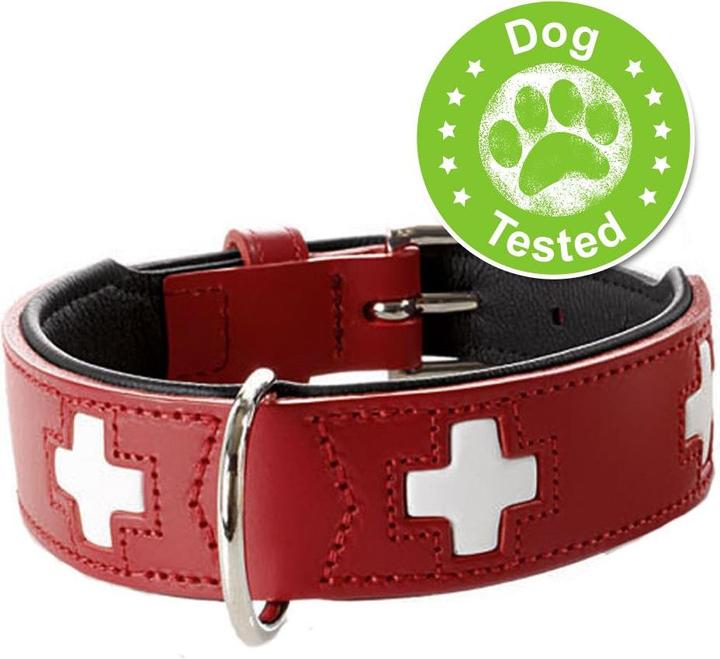 Image du produit Hunter Suisse (Chien, Général)