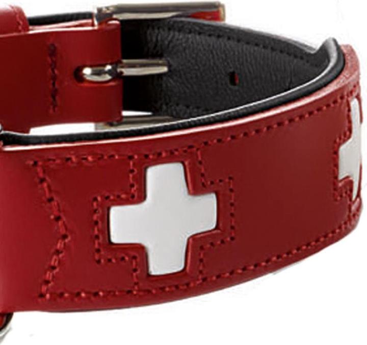 Image du produit Hunter Suisse (Chien, Général)