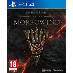 Actual product image Bethesda The Elder Scrolls Online : Morrowind (PS4, DE)