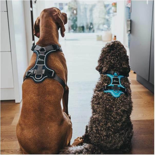 Actual product image Hunter Divo tableware (S, Dog, General)