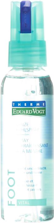 Eduard Vogt Eduard Minze Fuss (Fussdeodorant & -puder, 100 ml)