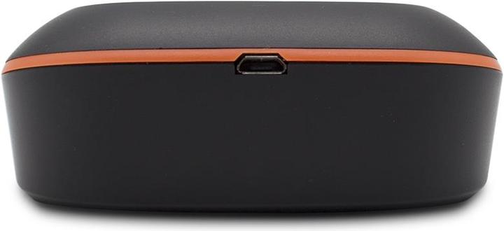 Produktbild Inkbird IBT-4XS BBQ (inkl. 2 Fühler)