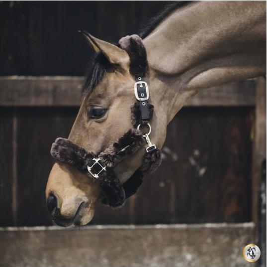 Produktbild Kentucky Horsewear Halfter Lammfell